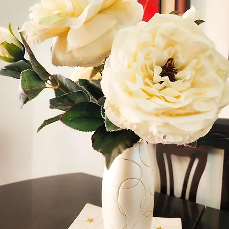 Apartament Sweet New Pazar *