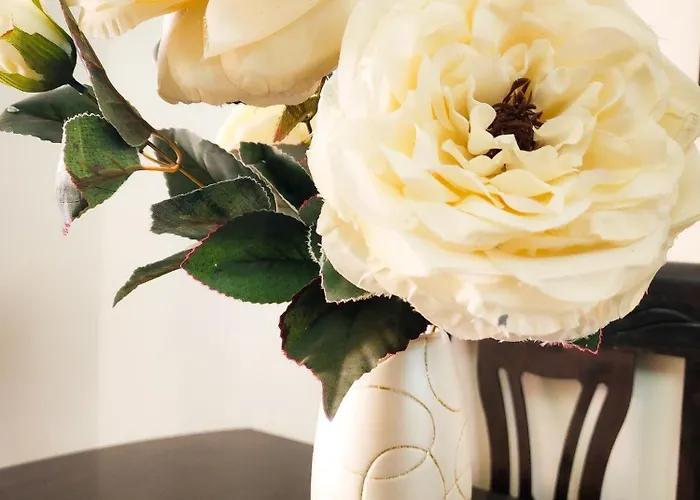 Apartament Sweet New Pazar *